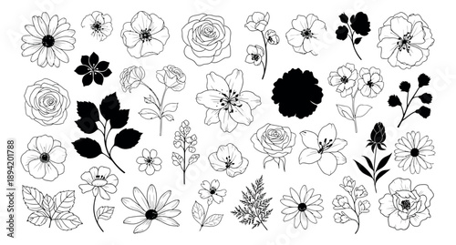 Hand drawn floral elements set featuring various flowers and leaves in line art and silhouette styles for decorative design