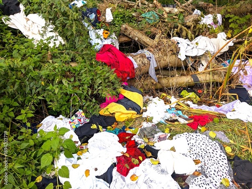 Принти на полотні Old discarded clothes scattered in a forest clearing