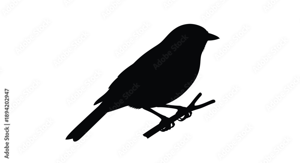 Fototapeta premium A dark bird perched on a branch a striking silhouette