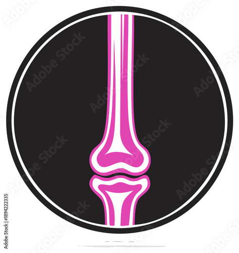 Anatomical illustration of a human knee joint, a stylized vector symbol for orthopedics and healthcare.
