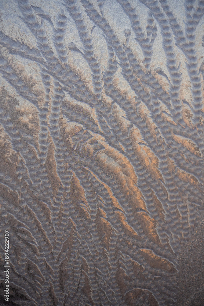 Fototapeta premium Frost creating natural feathery patterns on a window glass, forming intricate frozen ice textures reflecting light in winter, conveying cold climate backdrop