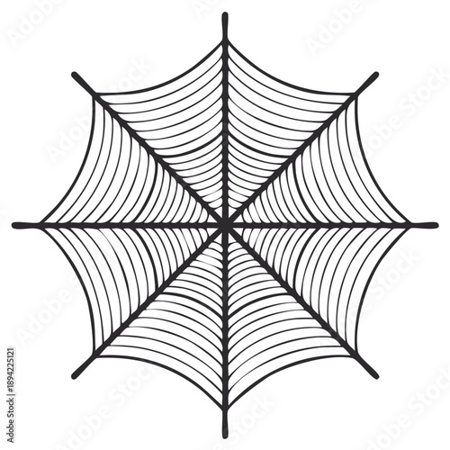 Intricate Spoked Spiderweb Design Graphic