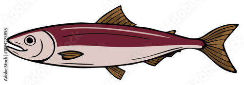 Illustration of a Fish. Side view of the fish with red back and tail in the shape of fan.