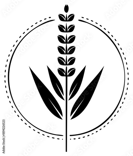 Minimalist black and white graphic icon of a lavender sprig within a dotted circle border