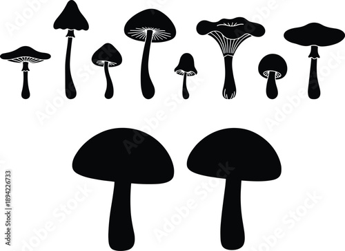 Black Mushroom Silhouettes Collection and Isolated Fungi Icons Set Featuring Various Wild Forest Toadstools Elements and Nature Shapes for Minimalist Graphic Design Projects