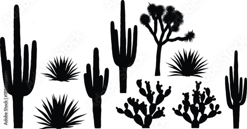Desert plant silhouette vector set, black shapes of cacti, agave, and Joshua tree with anchor coordinate detail