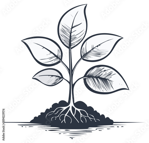 Hand Drawn Plant with Leaves Growing in Soil with Root System Detailed Illustration