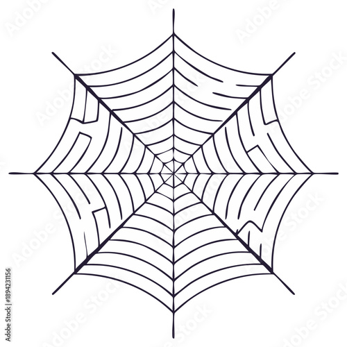 Stylized Cobweb Illustration with Geometric Pattern and Radial Symmetry in Minimalist Design