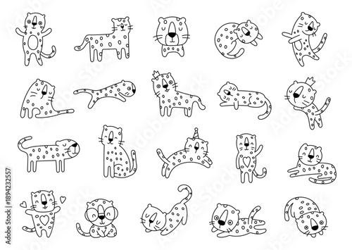 Cute cartoon leopard character set in outline line art with spotted wild animal poses for your charming illustration educational design purpose and children themed creative projects
