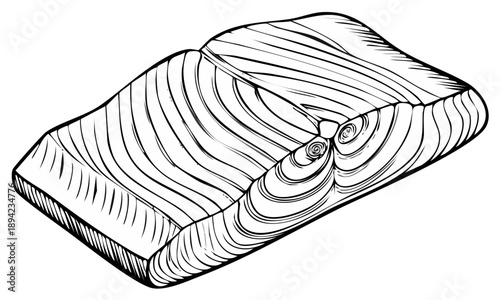 Hand drawn raw salmon fillet steak illustration in black and white line art