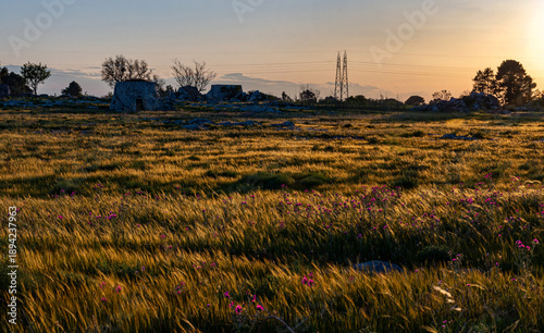 La campagna del Salento