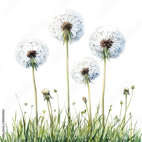 Summer Breeze, vector clipart in watercolor with smooth gradients, isolated on a white background.