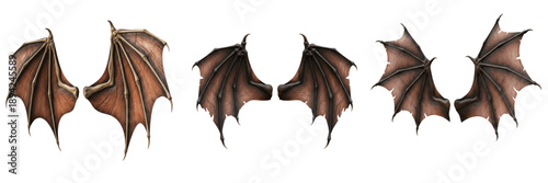 Bild auf Leinwand Dragon wings with leather texture isolated on white background, detailed fantasy