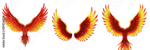Tableau sur toile Phoenix wings fiery feather design isolated on white background, mythical fire b