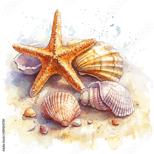Starfish And Beach Shells, clipart watercolor vector, isolated on a white background.
