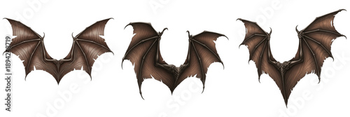 Vászonkép Leather wings fantasy style isolated on white background, dark mythical wings wi