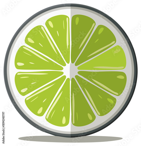 Stylized half of a lime fruit slice, isolated vector illustration, citrus wedges arranged with white pith, gray peel and subtle shadow