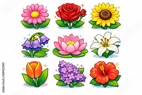 Colorful floral collection: daisies, roses, sunflowers, lilies, tulips, hibiscus