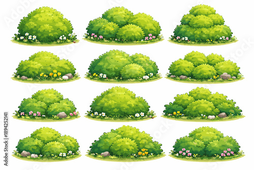 Green shrub variations with flowers and rocks in a natural garden setting