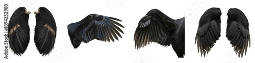 Realistic Black Bird and Raven Wing Collection Featuring Detailed Plumage and Dynamic Flight Postures Isolated on White Background PNG Mockup