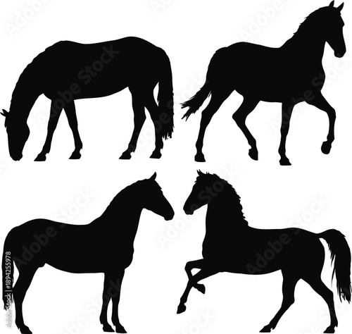 Horse silhouette  vector set  illustration.



