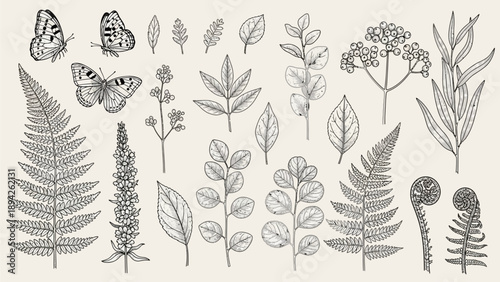 Detailed black and white illustration of various plants and butterflies from a close-up viewpoint.