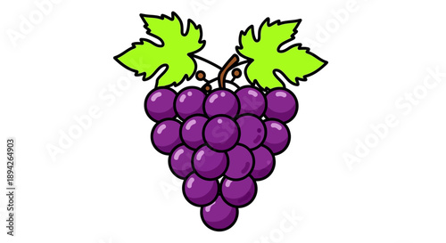 A vibrant bunch of grapes hanging from a vine with lush green leaves, viewed from the front in a simple illustration style.