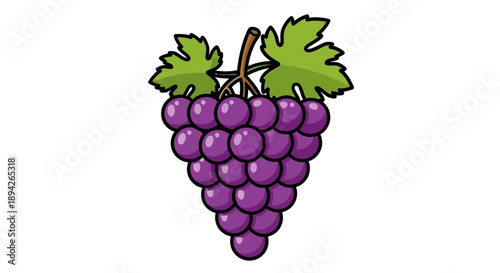A cluster of purple grapes with leaves attached, illustrated in a vibrant cartoon style.
