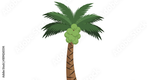 A palm tree with green coconuts standing alone in a serene environment from a straightforward viewpoint