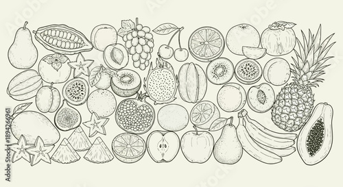 A diverse assortment of line-drawn fruits including pineapple and kiwi displayed together