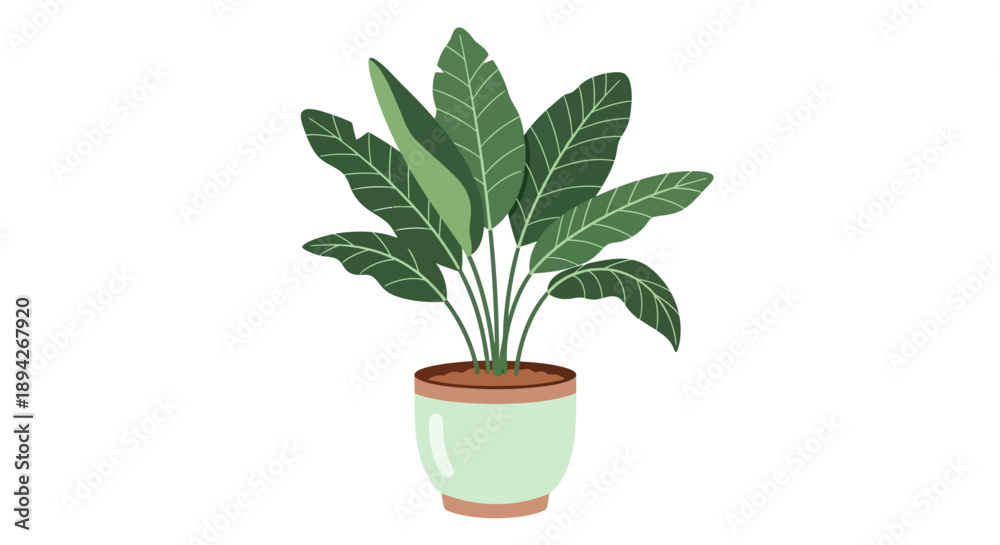 Obraz premium Illustration of a potted plant with large green leaves in a pot viewed from the side