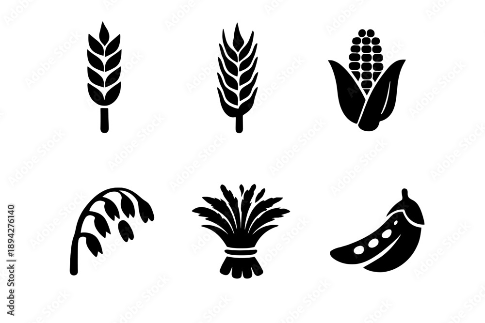 Fototapeta premium Grain Harvest Icons. Solid vector icons of grains and harvest: wheat stalk, barley, corn cob, oat, rice bundle, seed pod No text,