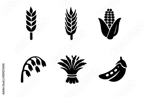 Grain Harvest Icons. Solid vector icons of grains and harvest: wheat stalk, barley, corn cob, oat, rice bundle, seed pod No text,
