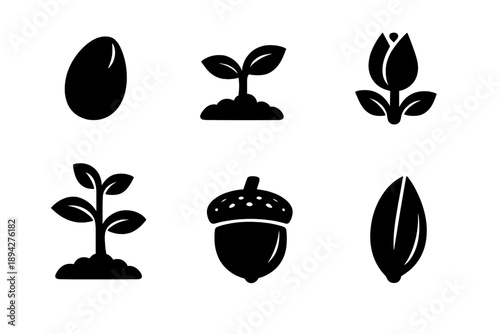 Seed Growth Icons. Solid vector icons of seeds and growth: seed, sprout, bud, sapling, acorn, grain No text, No labels, isolated