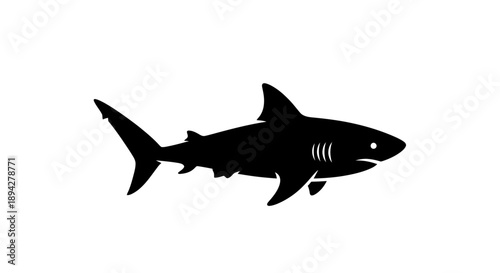 Silhouette of a shark isolated on a white background viewed from the side