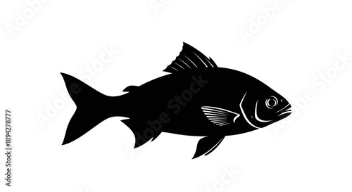 Minimalist silhouette of a shark isolated on a white background illustration