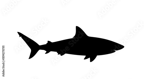 Isolated silhouette of a shark on a white background illustration