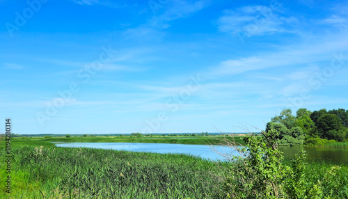 View of river with green trees and plants under clear blue sky.