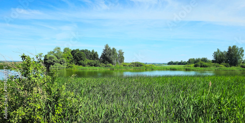 View of river with green trees and plants under clear blue sky.