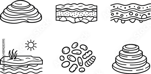 Stromatolite Icon Illustrations. Line style icons of stromatolite basics: layered dome structure, microbial mat slice, sediment