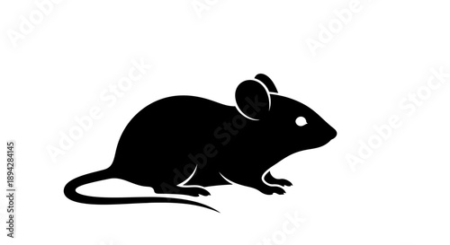 A black silhouette of a mouse on a white background, viewed from the side with high contrast