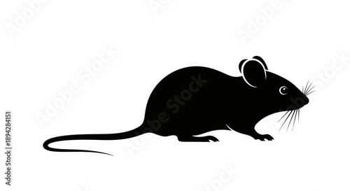 Black rat silhouette isolated on white background vector illustration