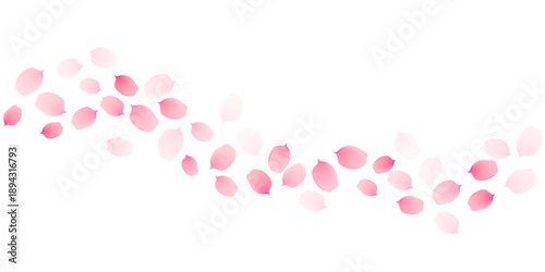 Sakura cherry petals, pink apricot flowers falling wavy border. Vector background