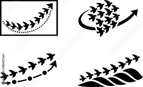 Solid vector icons of autonomous avian group motion: flock curvature set, cohesive shift pocket, distributed flight line; frame