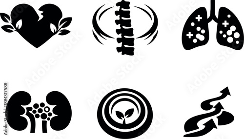 Solid style icons of organ regeneration potential: heart tissue regrowth, spinal cord repair arcs, lung tissue renewal, kidney