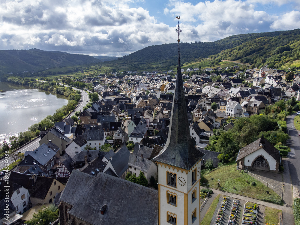 Fototapeta premium Vineyards, forests, harvest time in Calmont region with steepest vineyard in Europe on Moselle river valley, outdoor activities, hiking and klimbing in Germany, travel destination near Bremm