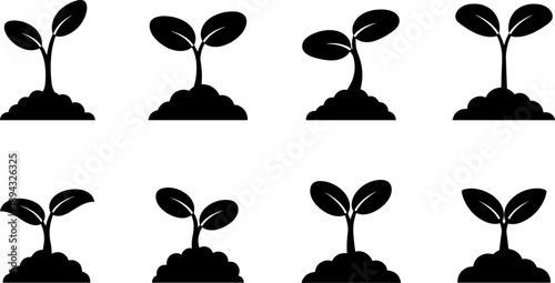 Set of black silhouette icons showing plant growth stages from seedling to young sprout