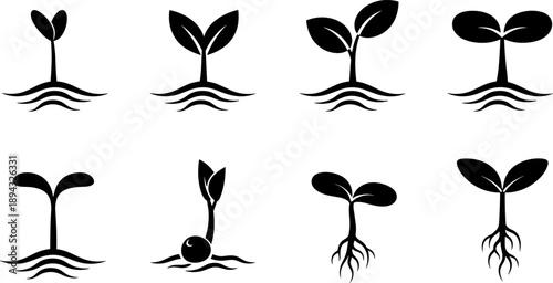 Set of seedling growth stages icons, from germination to established plant with roots