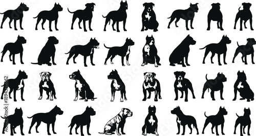 Black dog silhouettes collection in diverse poses and breeds, vector animal illustration set for design, education, identification, and observation studies