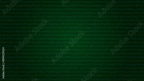 Green Encrypted Text Digital Technology Data Vector Illustration Screen Background